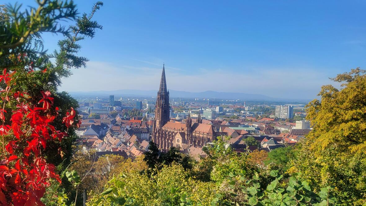 freiburg_black-forest