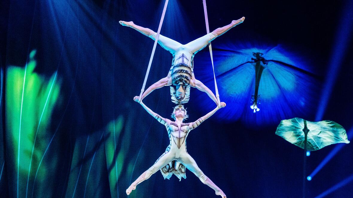 cirque-du-soleil